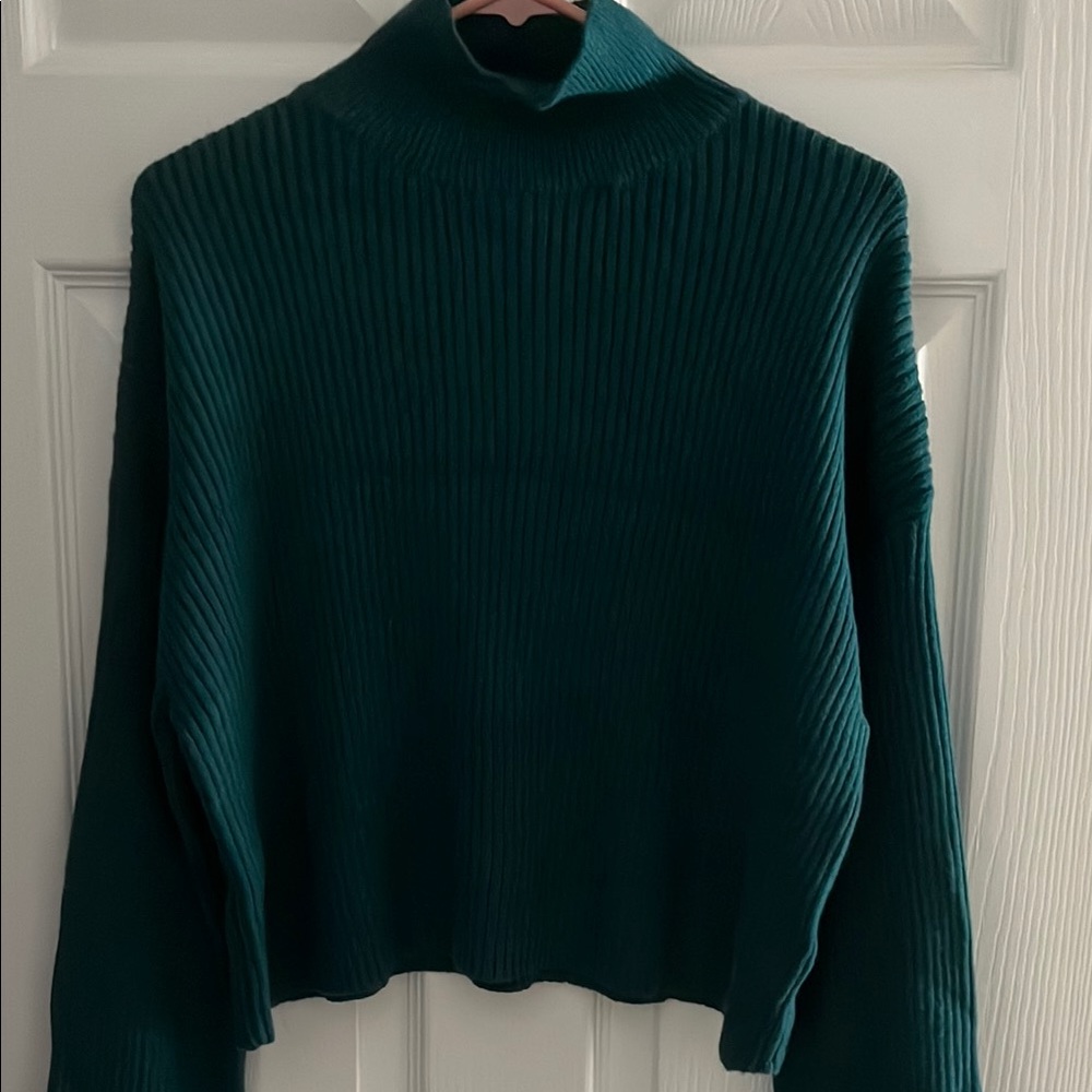 2/$20 Jessica Simpson Green Cowl Turtleneck Sweater